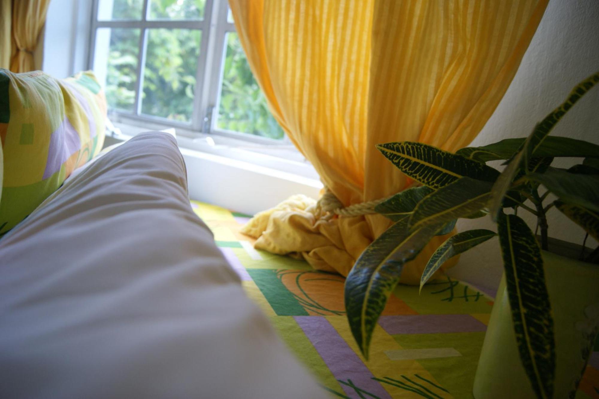 Hotel San San Tropez Port Antonio Esterno foto