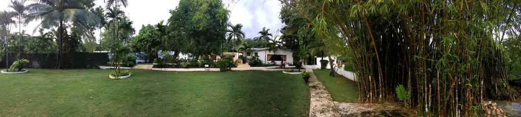 Hotel San San Tropez Port Antonio Esterno foto